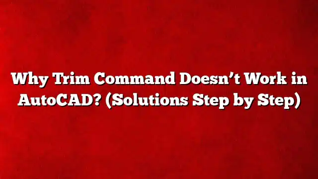 Why Trim Command Doesn’t Work in AutoCAD? (Solutions Step by Step)