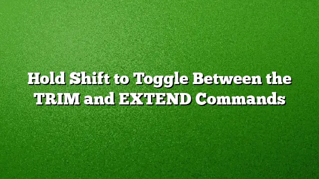 Hold Shift to Toggle Between the TRIM and EXTEND Commands