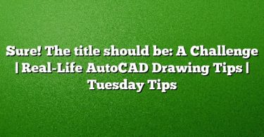 Sure! The title should be:
A Challenge | Real-Life AutoCAD Drawing Tips | Tuesday Tips