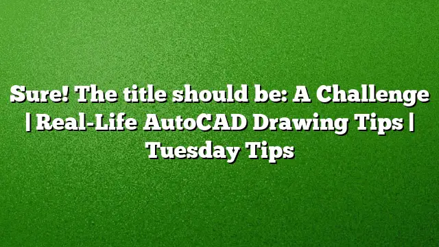 Sure! The title should be:
A Challenge | Real-Life AutoCAD Drawing Tips | Tuesday Tips