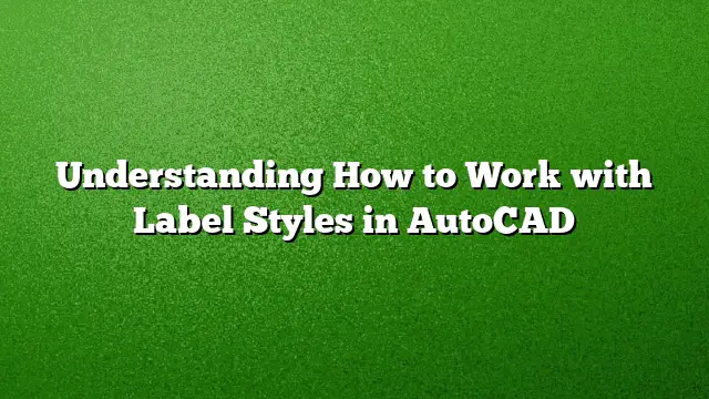 Understanding How to Work with Label Styles in AutoCAD