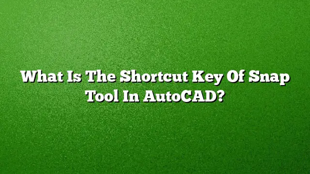 What Is The Shortcut Key Of Snap Tool In AutoCAD?