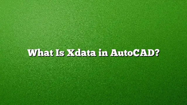 What Is Xdata in AutoCAD?