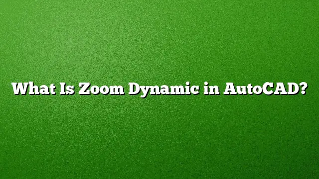What Is Zoom Dynamic in AutoCAD?