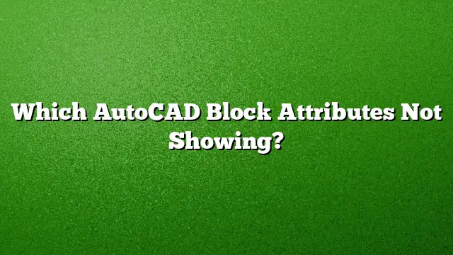 Which AutoCAD Block Attributes Not Showing?