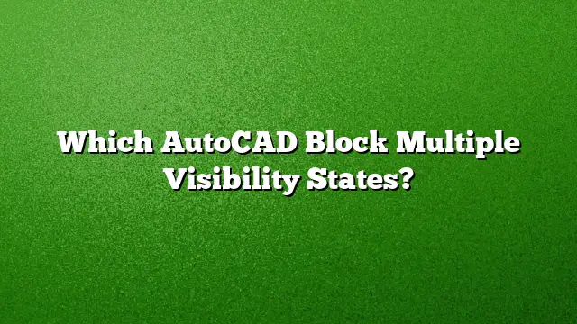 Which AutoCAD Block Multiple Visibility States?